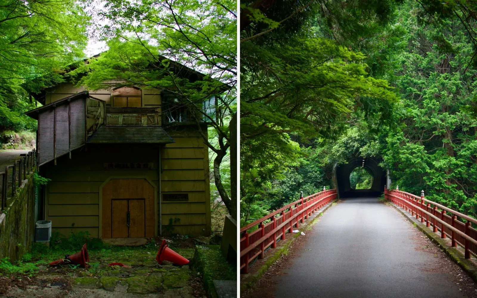 An abandoned wooden building with boarded doors and toppled traffic cones under maples; A road crossing a red-railed bridge into a dark tunnel in the forest